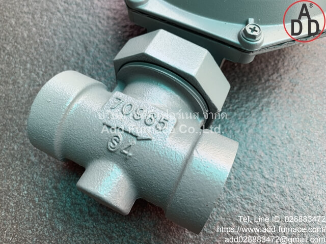 Sensus 143 Service Regulator(5)